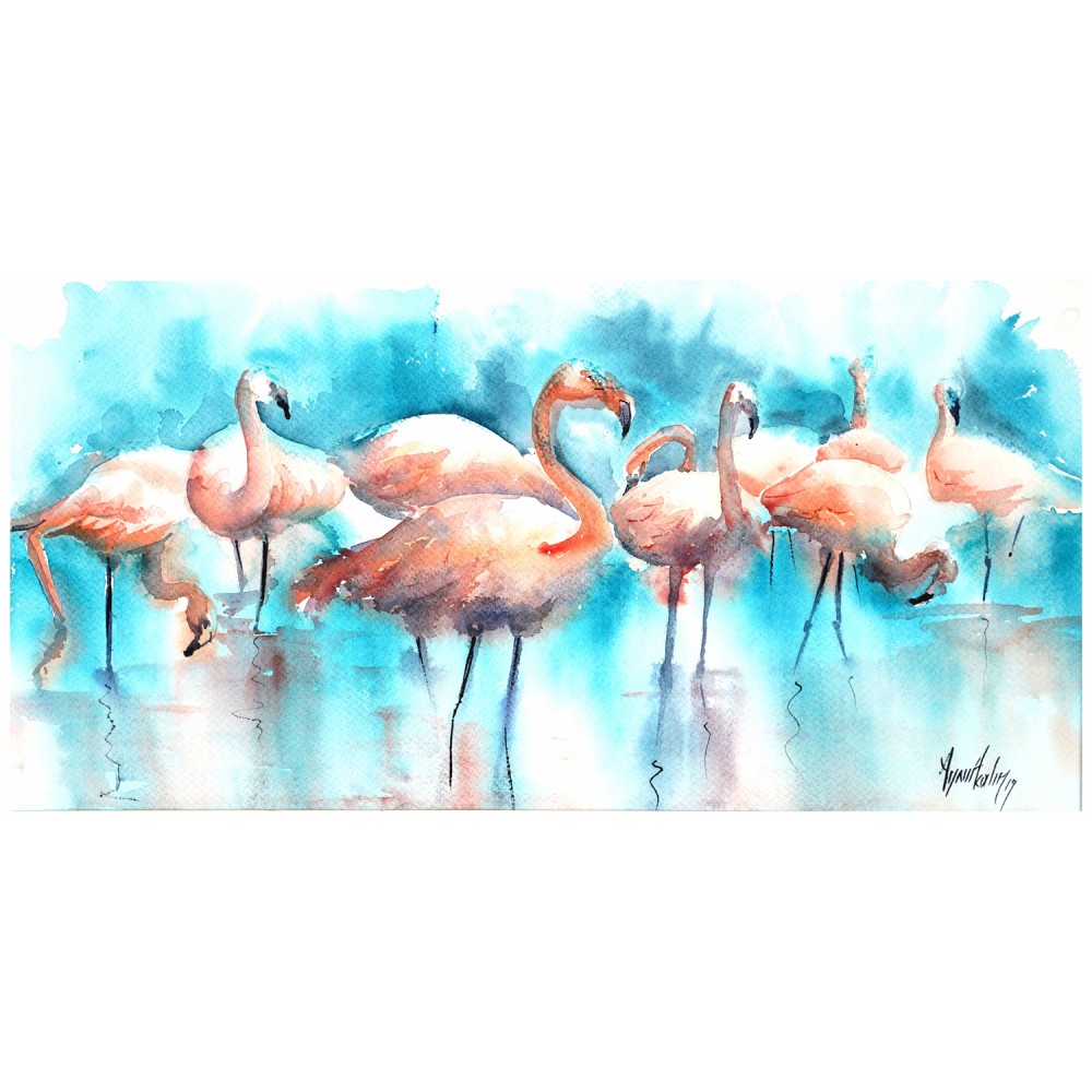 Flamingolar 36x70