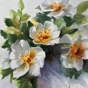 Aynur Akalın imzalı beyaz yabani güller suluboya tablo, botanik sanat çalışması, orijinal çiçek resmi.