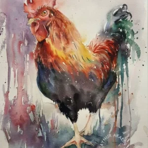 Ressam Aynur Akalın imzalı, canlı kırmızı ibikli ve koyu renk geçişli ekspresif horoz figürü suluboya tablo.