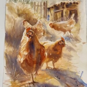 Ressam Aynur Akalın imzalı, ışık ve gölge detaylı tavuk figürlü orijinal suluboya tablo.